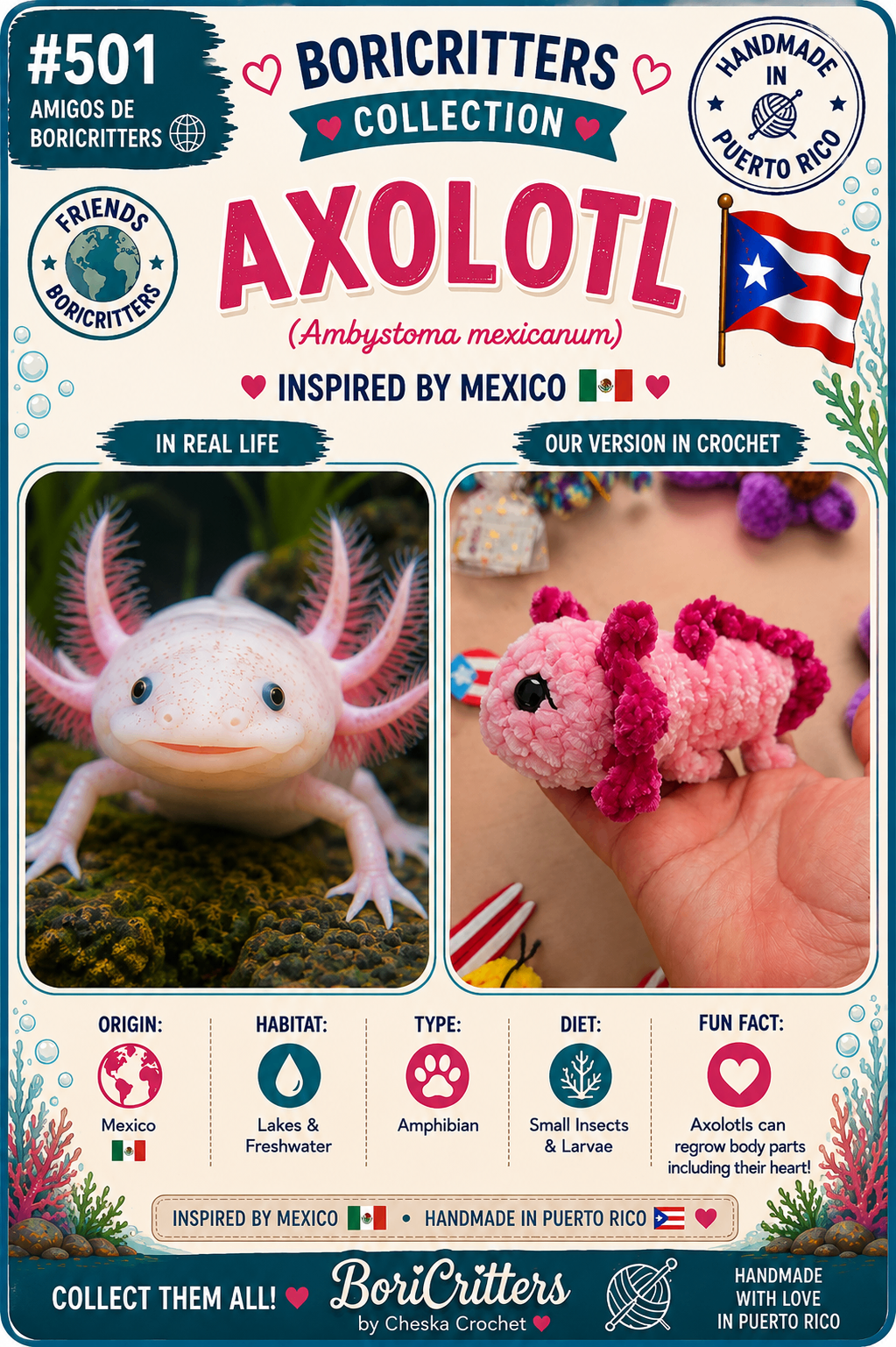 #501 Axolote