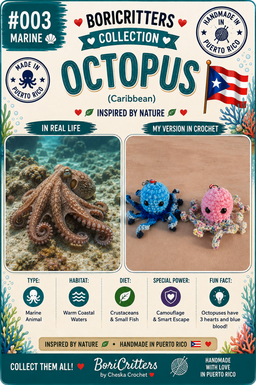 #003 Pulpo